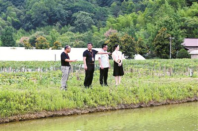 图为近日，安徽省宁国市纪检监察干部到河沥溪街道长虹村实地查看村级资金、资产、资源管理使用情况。 倪心怡 摄