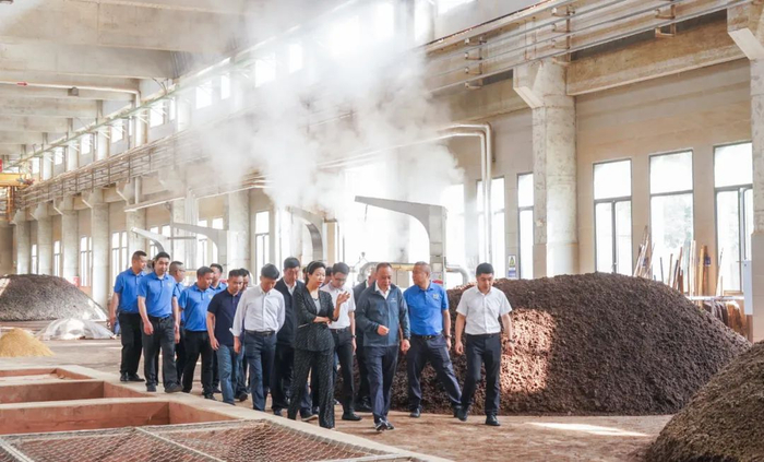 △汪俊林董事长（中）率队先后来到郎酒吴家沟生态酿酒区酿酒二十四车间（二班）、酿酒二十车间（一班）、（四班）实地调研