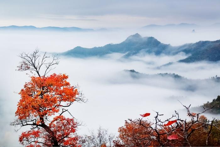 云台山凤凰岭。