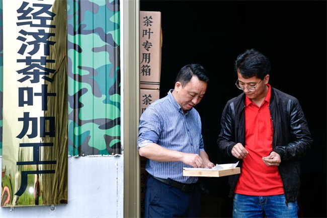 在贵州省江口县怒溪镇骆象村，韦勇（左）在一家茶叶加工厂里查看抹茶原料加工情况（5月15日摄）。