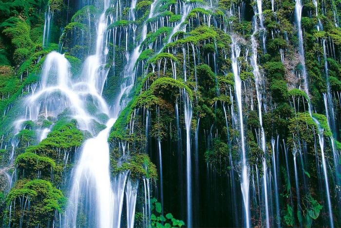 重渡沟瀑水钙华景观。