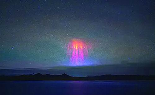 精灵烟花。安久、董书畅/摄