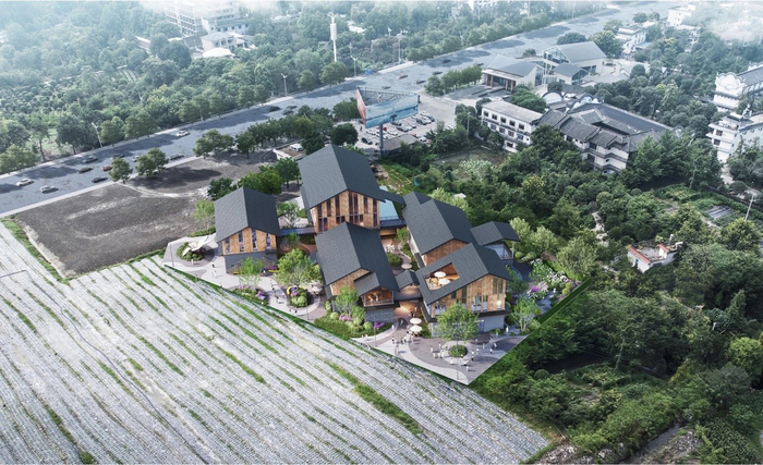 项目效果图