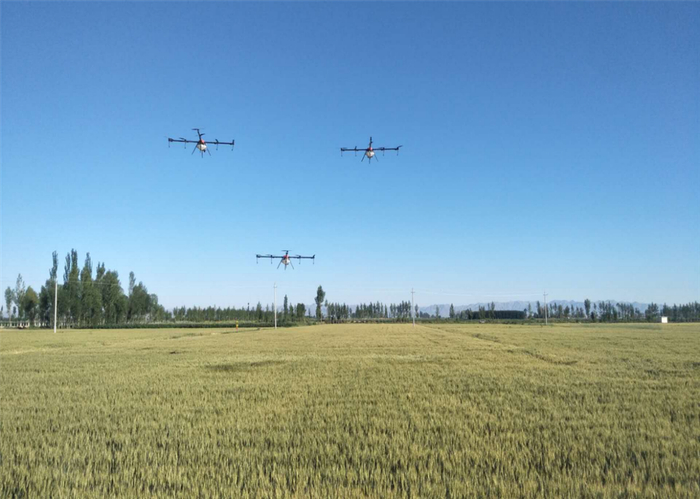 杭锦后旗开展小麦无人机统防统治作业，确保产地净化。（资料图）