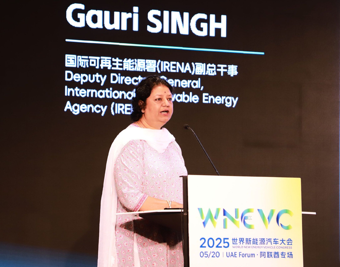 国际可再生能源署副总干事高丽·辛格致辞。（经济日报记者 李学华摄）