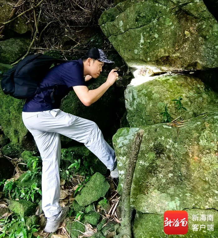 海南省林业科学研究院工程师陈凯峥在海南热带雨林国家公园霸王岭片区进行科学考察。受访者供图