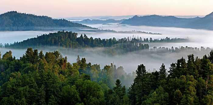 红松林海（央广网发  伊春市委宣传部供图）