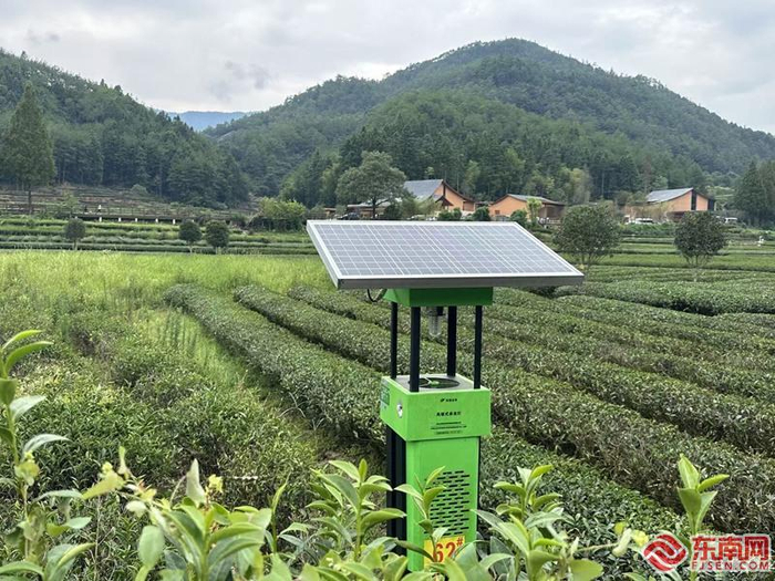 茶园用上了智慧监测装备。