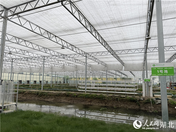 湖北省小龙虾产业技术研究院。人民网记者张隽摄