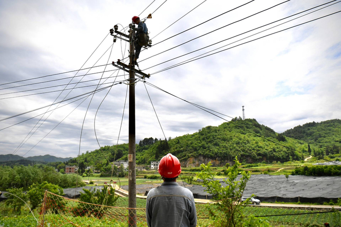 南方电网贵州毕节大方供电局工作人员对故障线路进行抢修。刘凯摄