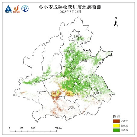 图1  5月22日FY-3D卫星遥感监测冬小麦收获进度图