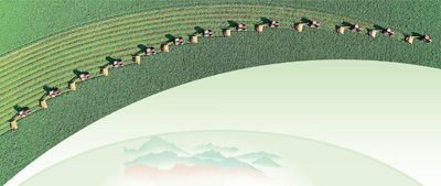 内蒙古自治区阿鲁科尔沁旗苜蓿草种植基地，收割机在进行作业。资料图片