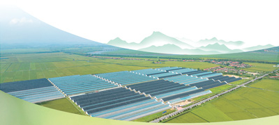 东港市孤山镇荟友农业发展有限公司草莓生产园区。张苍健摄（人民视觉）