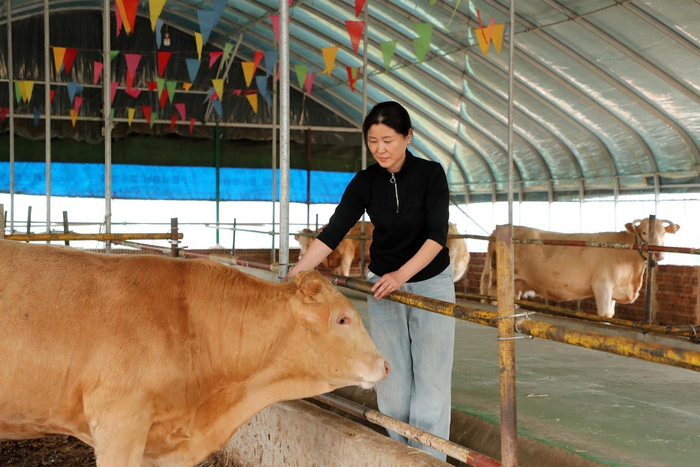 5月18日，刘琴来到肉牛养殖场，帮养牛户喂牛。本报记者 王珂 摄