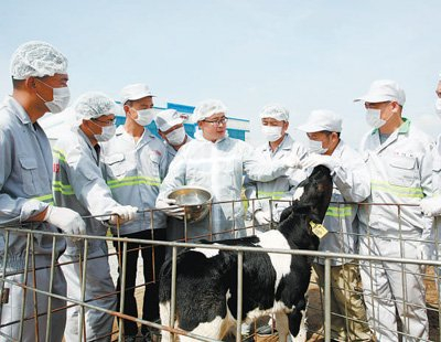 内蒙古自治区呼和浩特市敕勒川精品奶源基地，伊利奶牛科学研究院技术人员在对学员进行奶牛养殖技术培训。图为受访者提供
