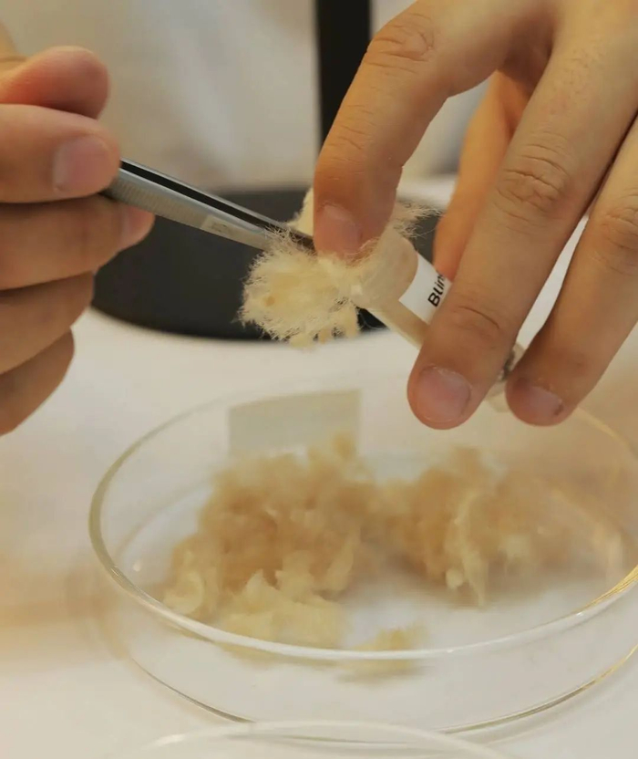 商家处理宠物毛发。图据受访者