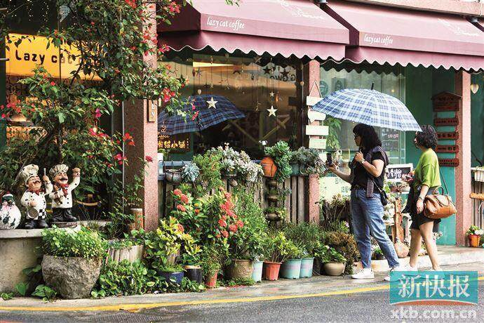 ■懒猫咖啡馆。