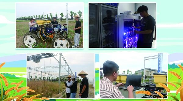 　　安徽农业大学工学院学子在一线劳动。中青报·中青网记者 王海涵/摄