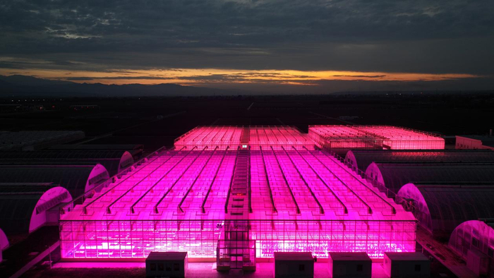 杨凌育种技术中心温室