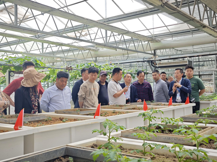 江苏省东台市试点培训班学员在南京农业大学白马教学科研基地观摩。 农民日报·中国农网记者 赵艺璇 摄