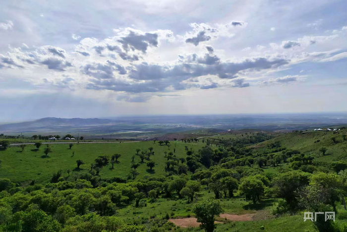 额敏县野果林景区  （央广网发  马晓杉  摄）  