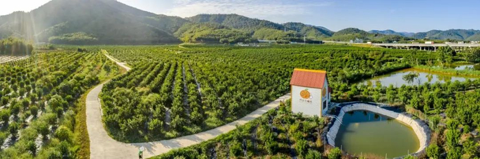 △图源 四会发布