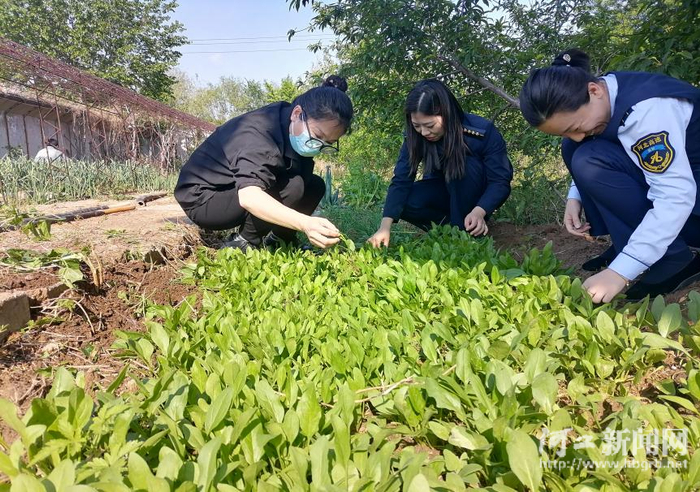 河北高速集团京秦分公司职工积极参与小菜园建设