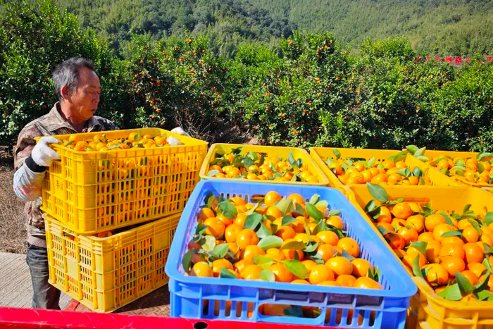 △图源 四会发布