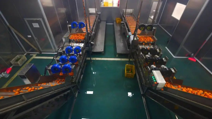 △图源 四会发布