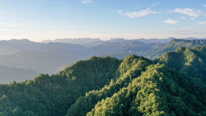 借母溪国家级自然保护区（邓浩然 摄）