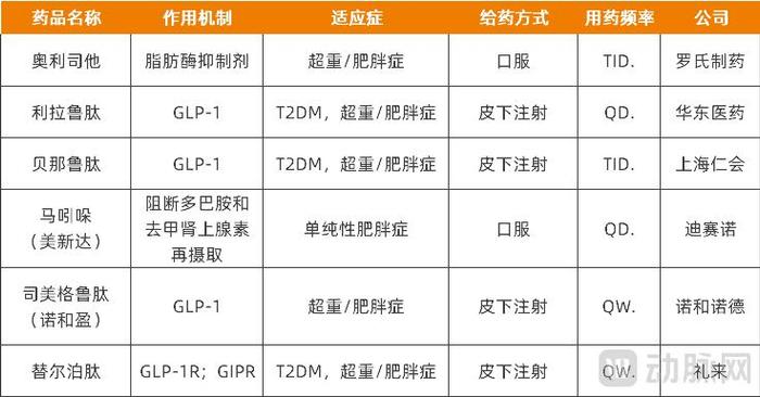 国内已上市用于肥胖治疗的药物,资料来源:派格生物招股书、企业公开信息