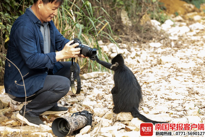 陈凤福与黑叶猴互动。受访者供图