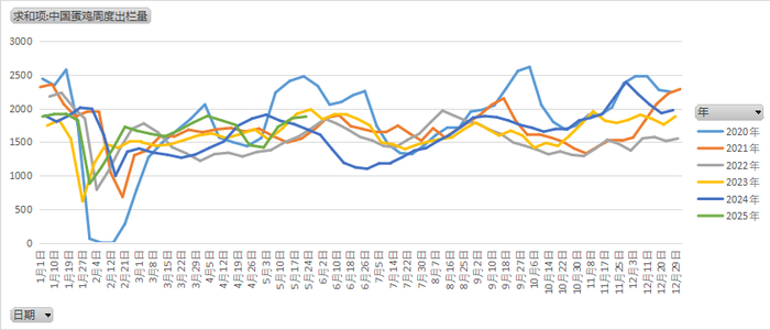 图8：淘汰鸡日龄