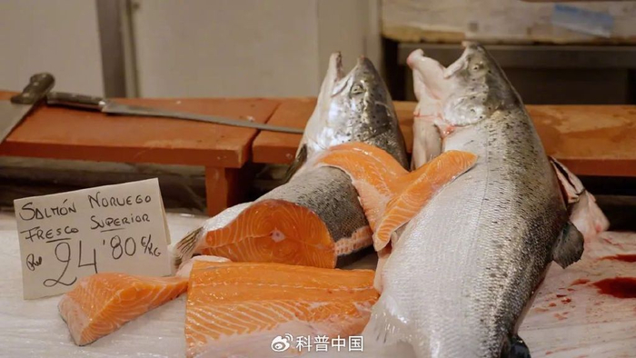 图库版权图片，转载使用可能引发版权纠纷