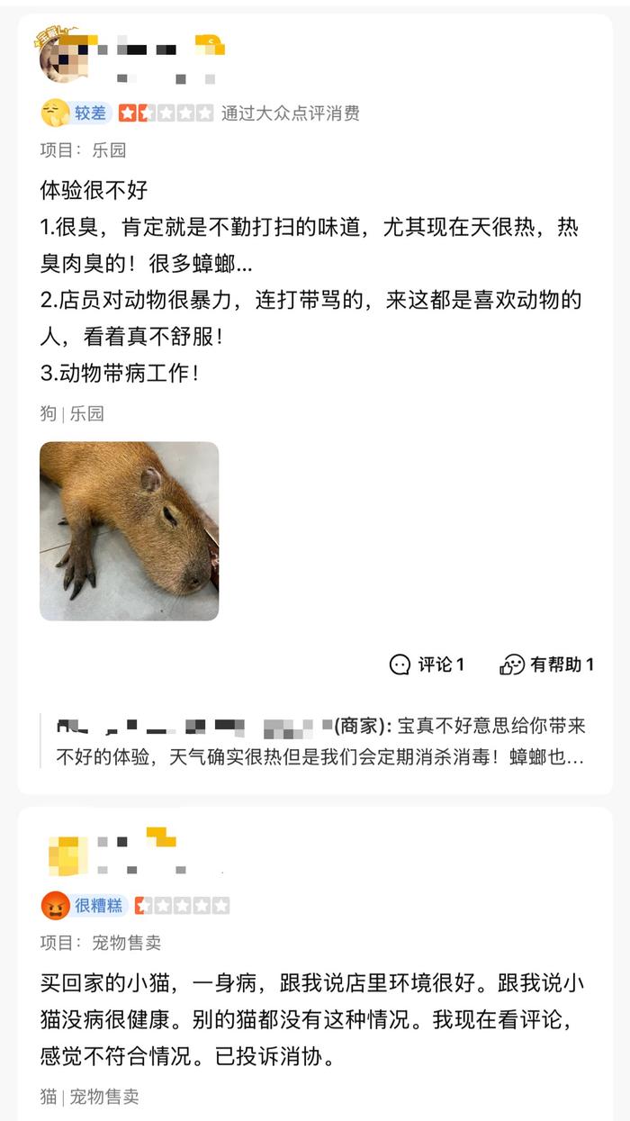 △部分消费者对“萌宠馆”的差评