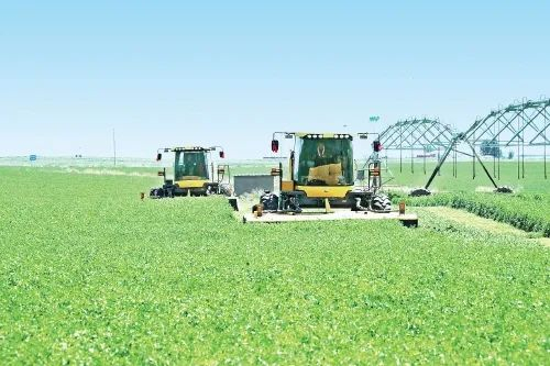 在赤峰市阿鲁科尔沁旗紫花苜蓿种植地，机械设备正在收割牧草。