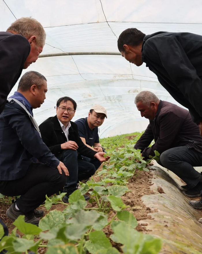 丁伟红（左三）在大棚内为农户答疑。人民日报记者 蒋云龙 摄
