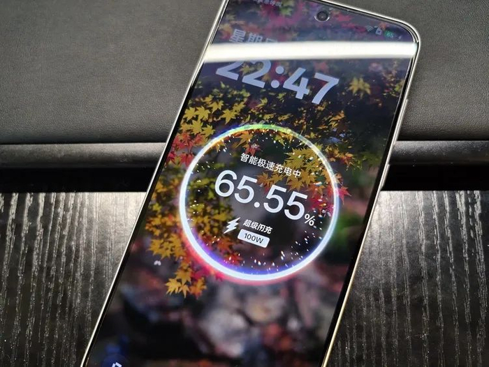 图源：不客观实验室