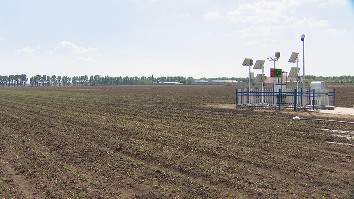 绥化市北林区东富乡东富村旱田配备“五情监测站”