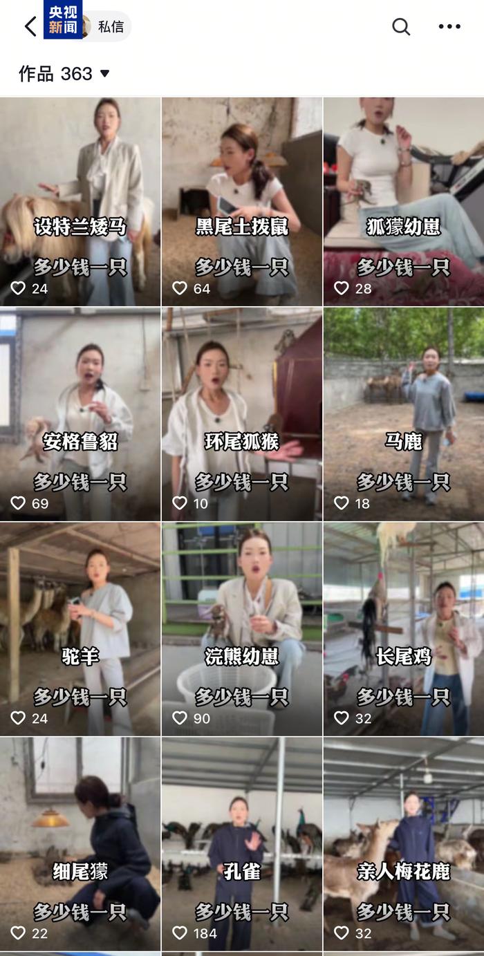 △养殖基地在社交媒体平台上推介外来野生动物