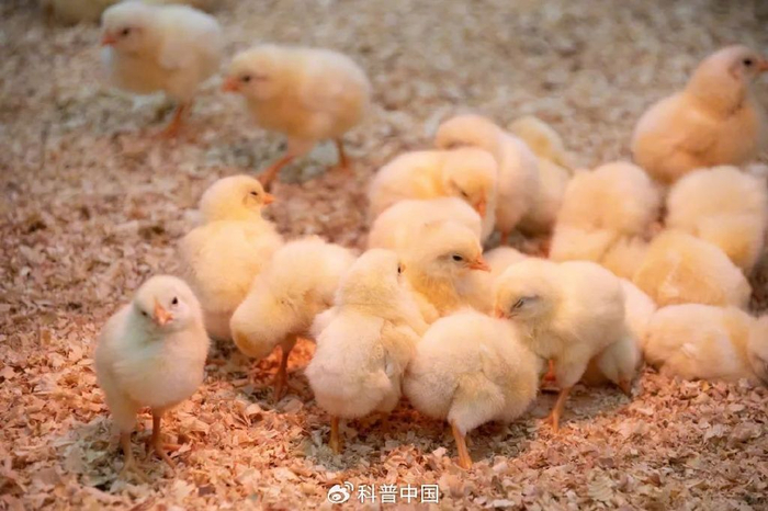 图库版权图片，转载使用可能引发版权纠纷