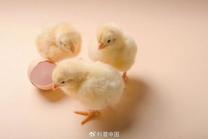 图库版权图片，转载使用可能引发版权纠纷