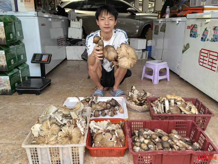 ▲王雨浩在门市前展示鸡枞