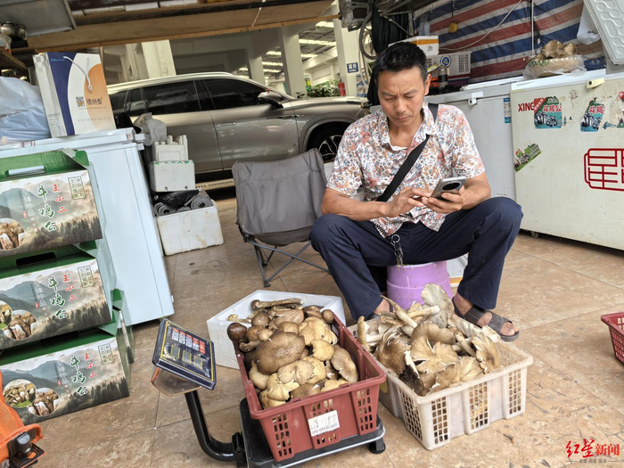 ▲王路君准备将鸡枞发往外地