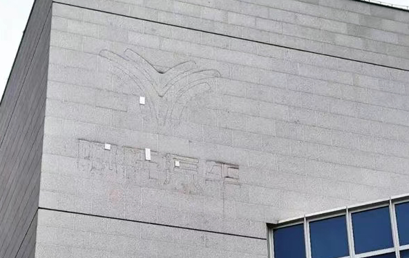 图片来源：视频截图