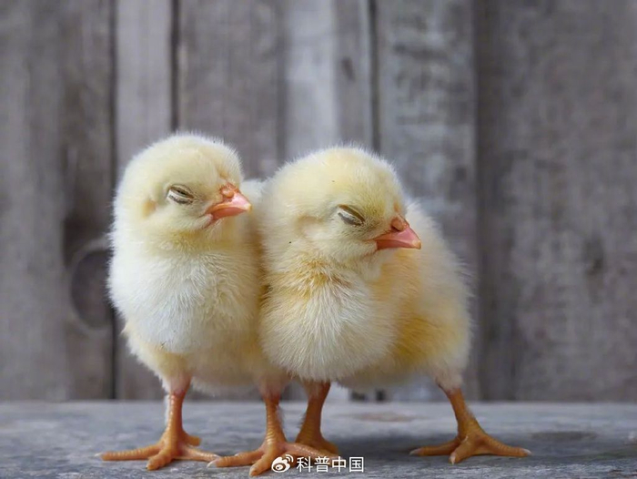 图库版权图片，转载使用可能引发版权纠纷