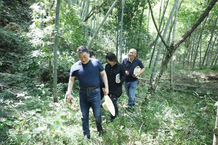 2022年6月，光明日报社社长兼总编辑王慧敏（前）带领调研组在井冈山神山村调研。