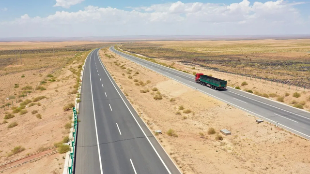 　京新高速临白段沿线的沙生植物。