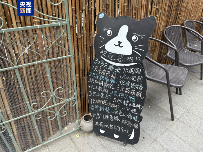 △一家开在商业街区的“猫艺体验馆”中饲养了众多外来野生动物