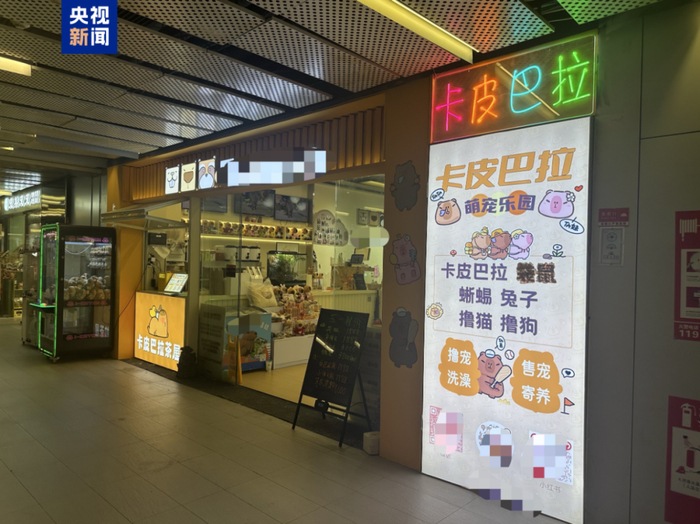 △一家开在写字楼一层的“卡皮巴拉茶屋”
